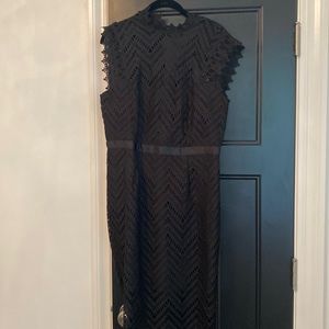 Bardot lace little black dress